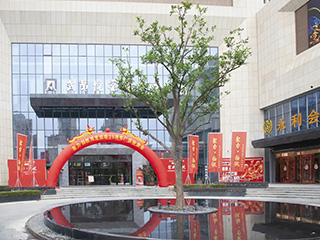 雙龍戲珠廠慶答謝宴走進建陽